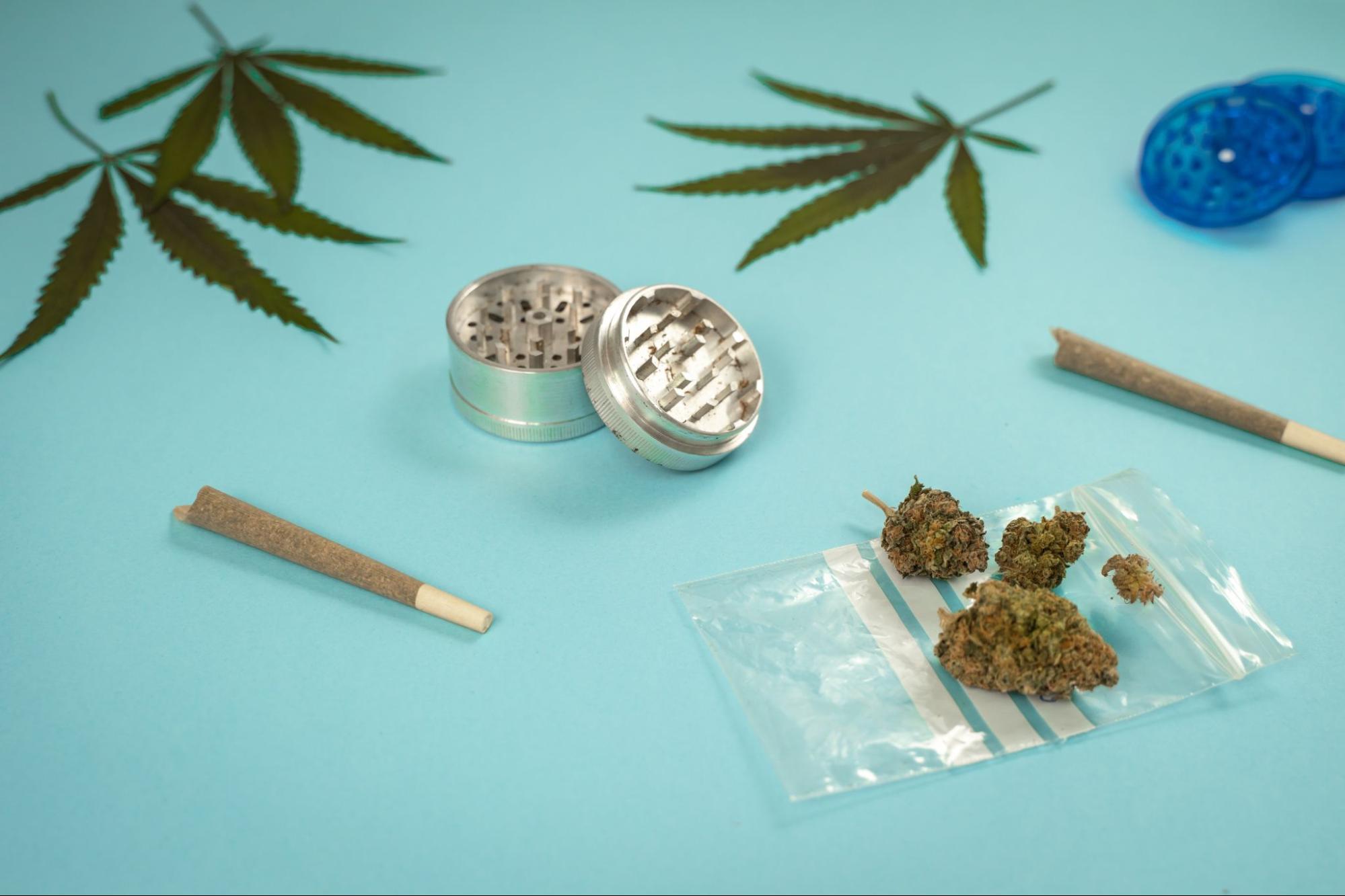 Marijuana leaves next to a grinder, joints, and buds. 