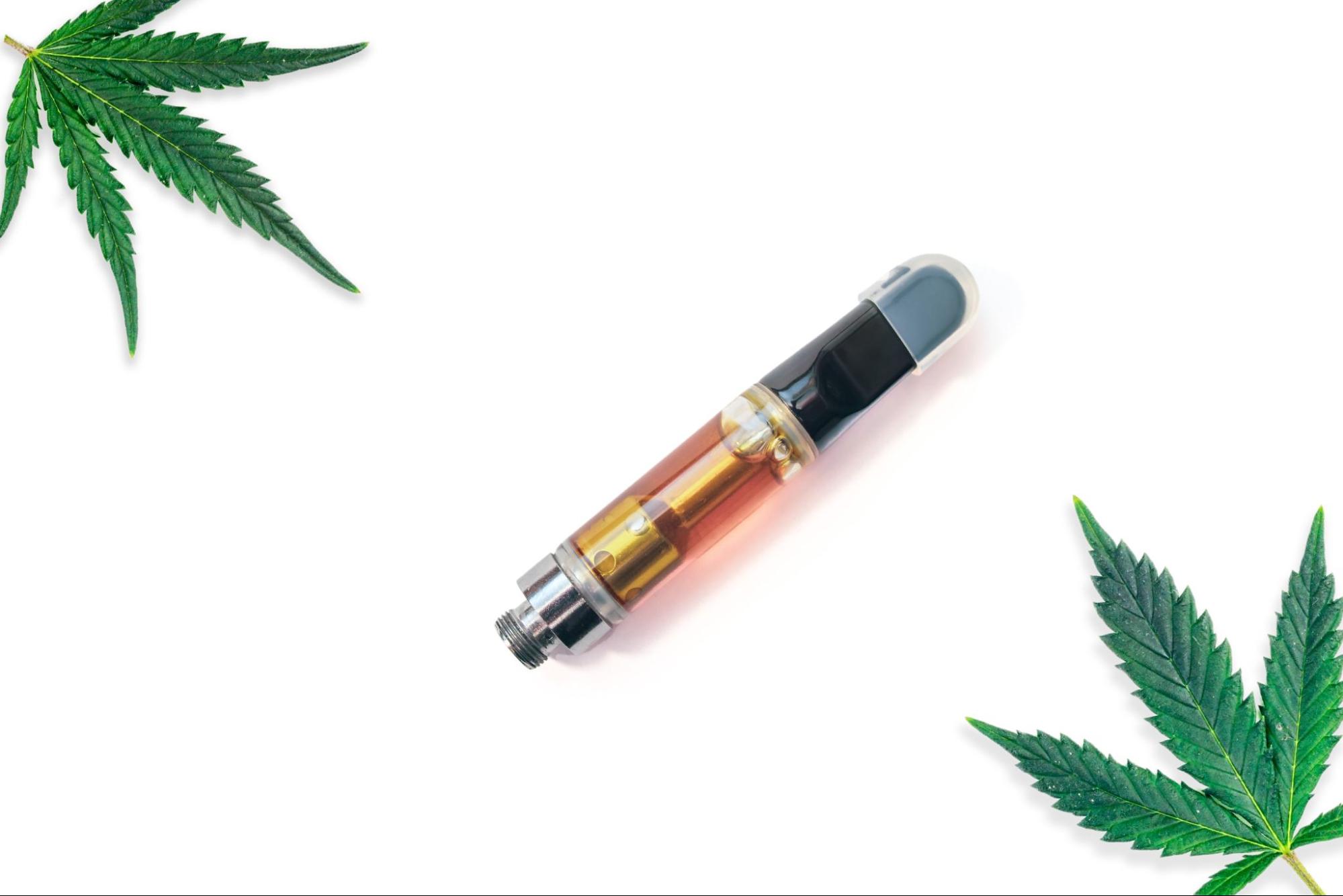 Cannabis vape next to two marijuana leaves. 
