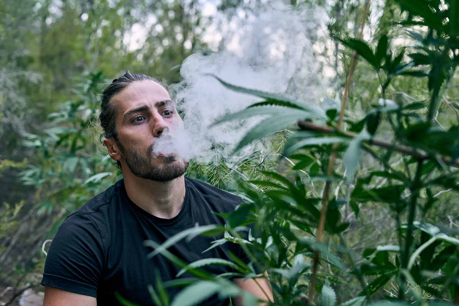 A man with long dark hair in a dum and a black shirt blowing vapor while surrounded by cannabis plants.