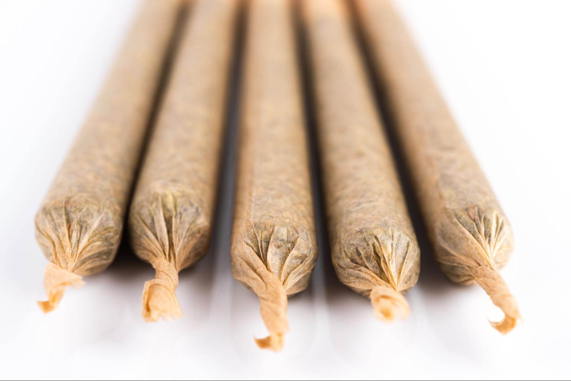 An angled view of the ends of four marijuana-rolled cones made with hemp rolling papers against a white background.