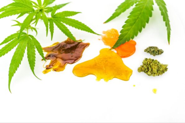 Cannabis leaves and different concentrates on a white background.