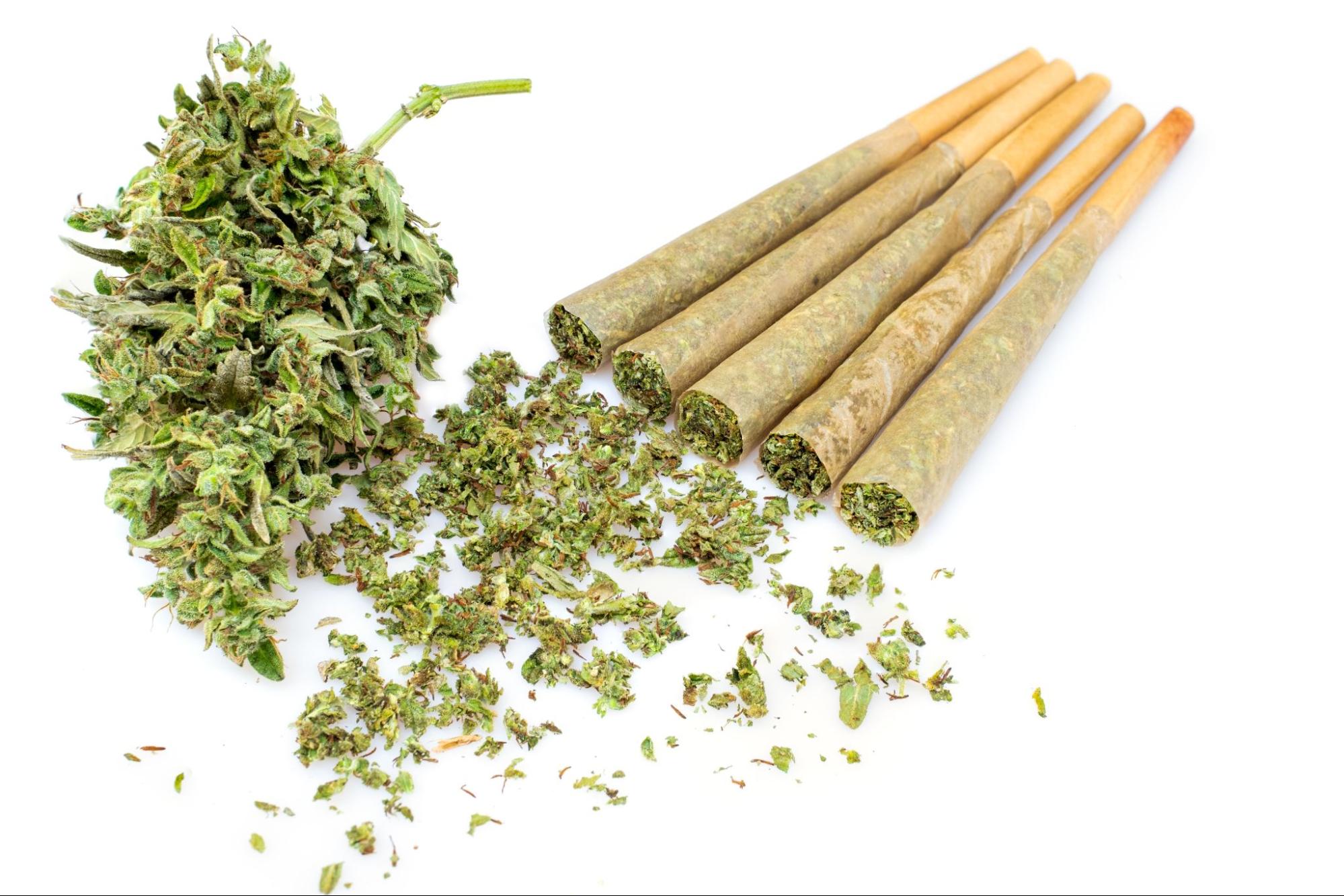 Four rolled over-stuffed weed cones made with hemp paper, marijuana buds, and finely ground marijuana against a white background.