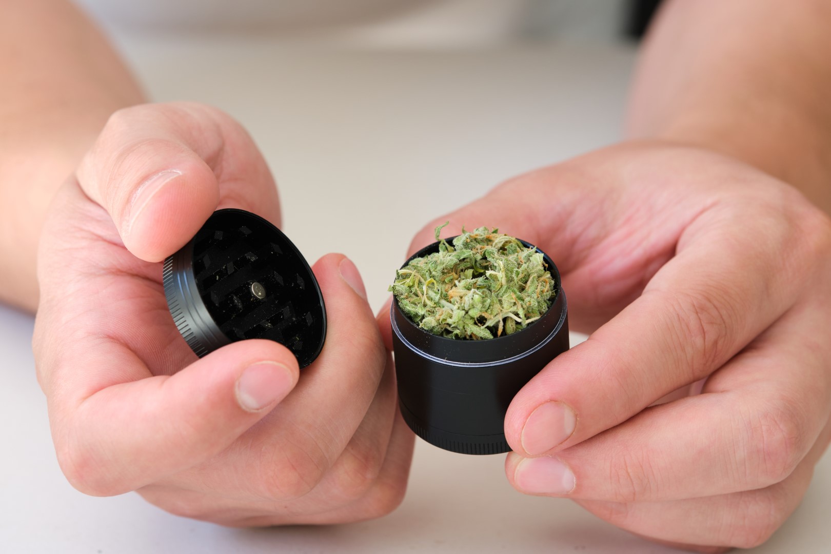 A cropped view of a man’s hands holding an open black grinder with whole buds on top.