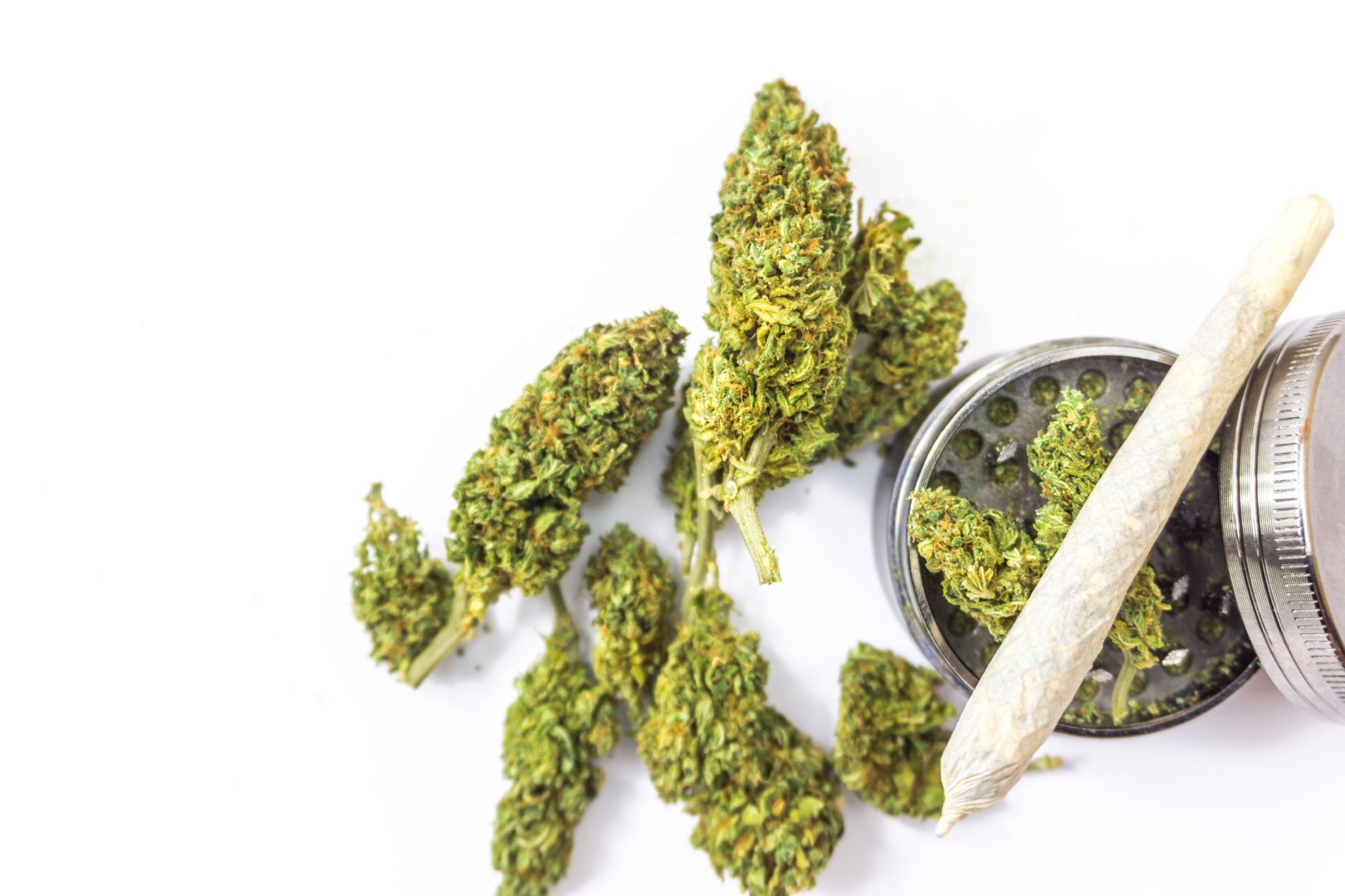 Whole buds, a grinder, and a joint next to each other against a white background.