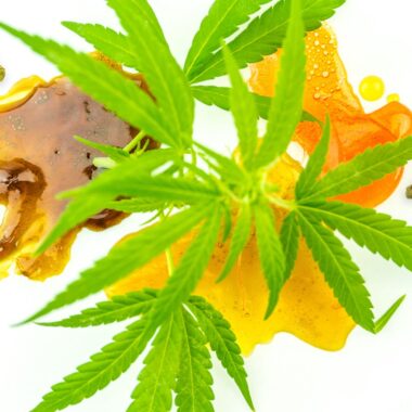 The Science Behind Wax Vaporizers