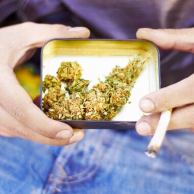 What Are the Most Common Types of Cannabis?