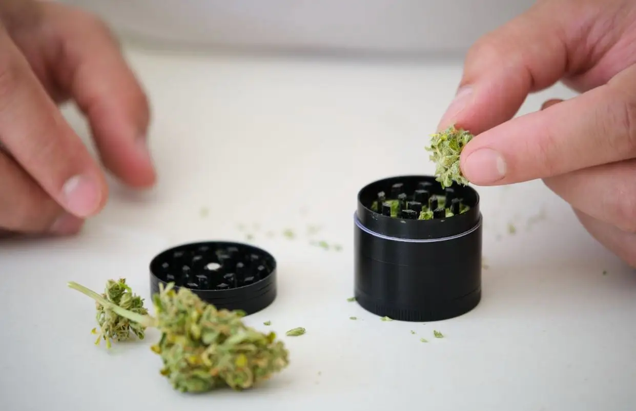 A hand putting weed into a grinder.