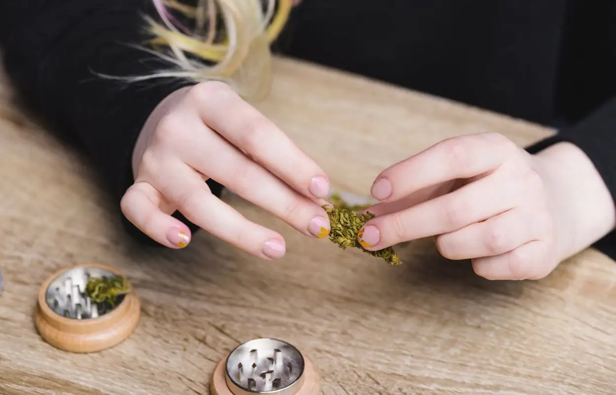 Two hands holding a bud of weed on a table with a grinder. Two hands holding a bud of weed on a table with a grinder.