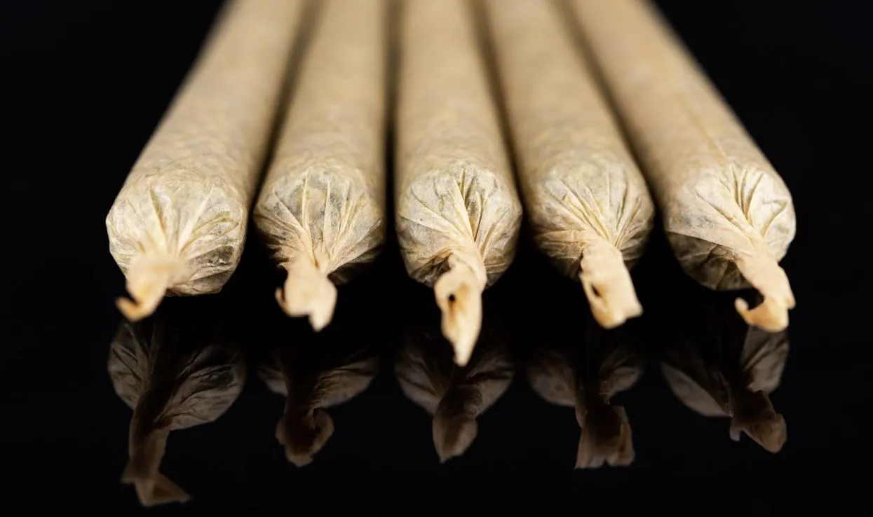 joints wrapped in paper
