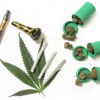 What Are the Most Common Types of Cannabis?