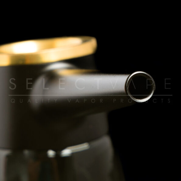 vessel element